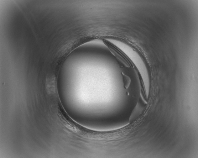 X0000057060017200509120900