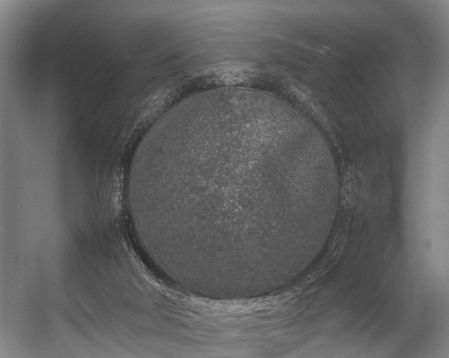 X0000057060018200509120900