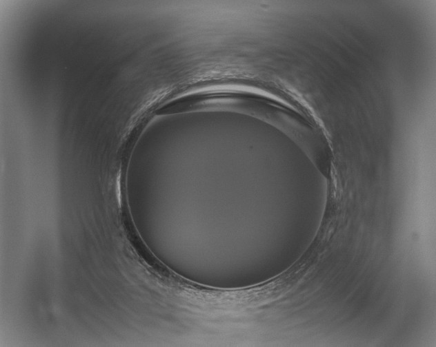 X0000057060019200509120900