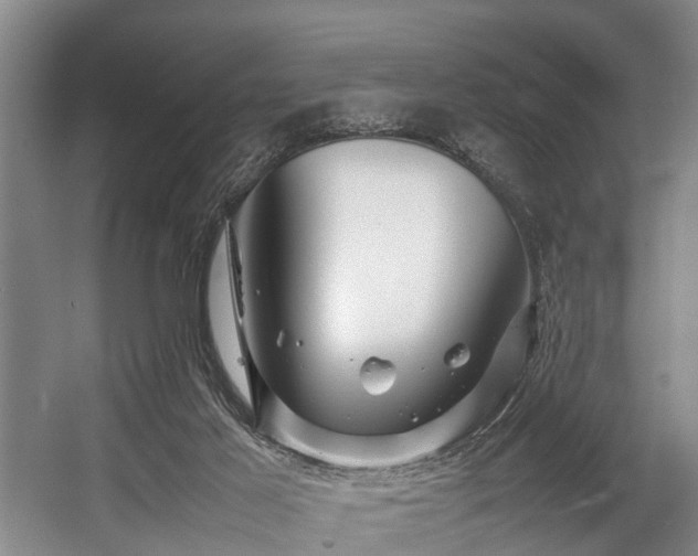 X0000057060021200509120900