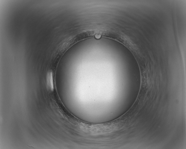 X0000057060022200509120900