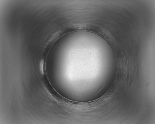 X0000057060024200509120900