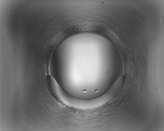 X0000057060025200509120900