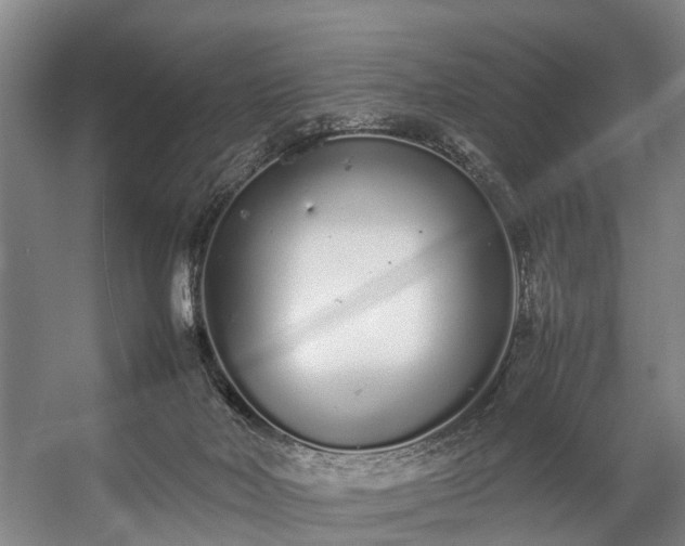 X0000057060026200509120900