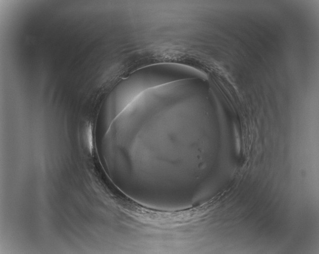 X0000057060027200509120900