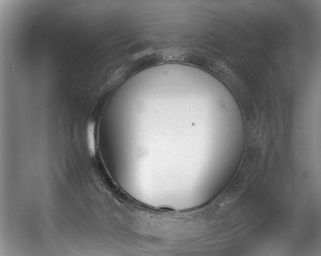 X0000057060028200509120900