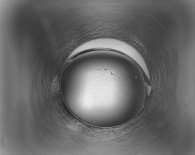 X0000057060029200509120900