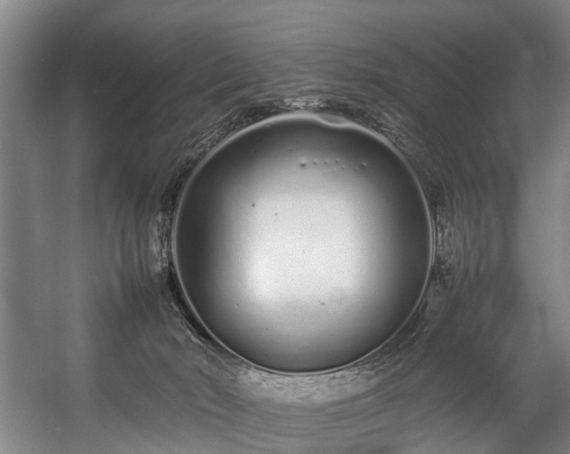 X0000057060030200509120900