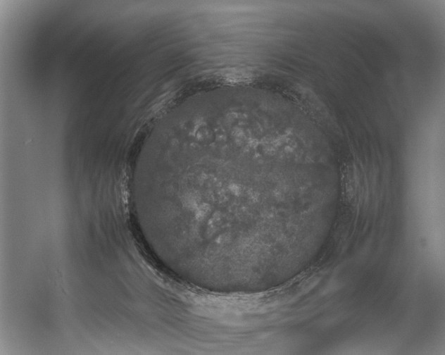 X0000057060032200509120900