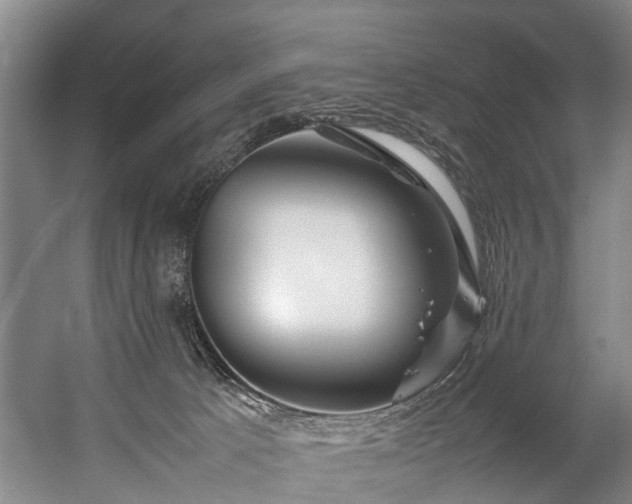 X0000057060033200509120900