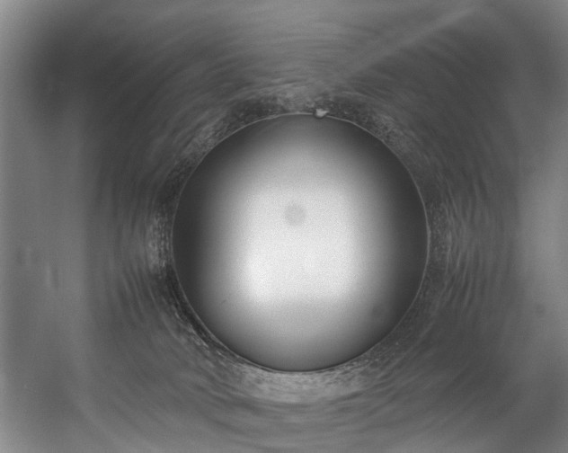 X0000057060034200509120900