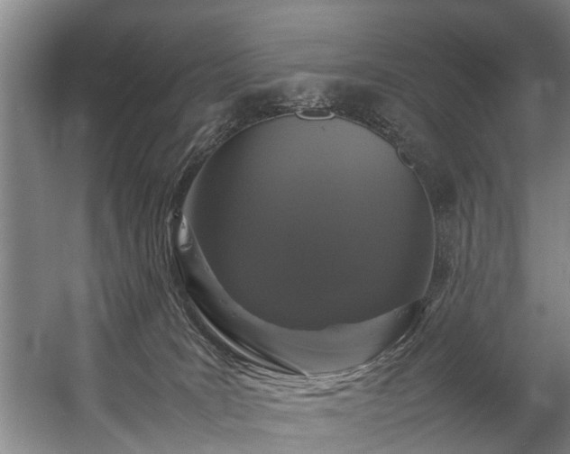 X0000057060035200509120900