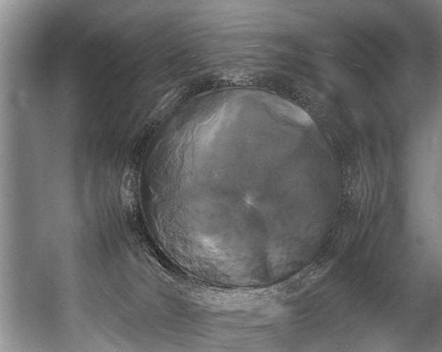 X0000057060036200509120900