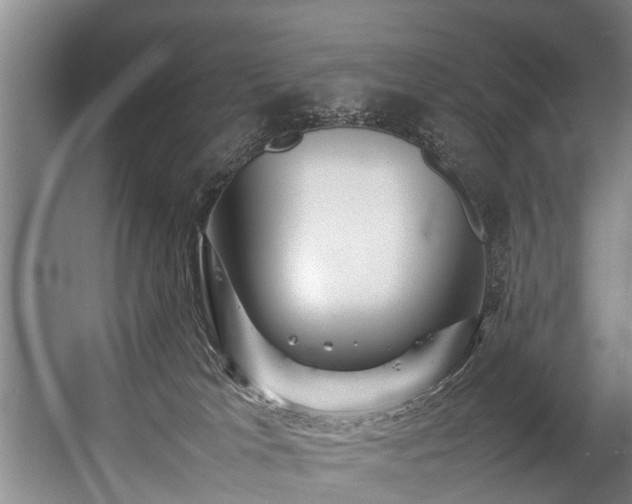 X0000057060037200509120900