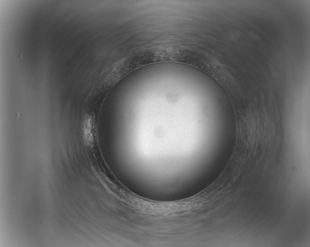 X0000057060038200509120900