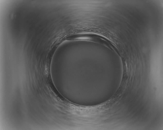 X0000057060039200509120859