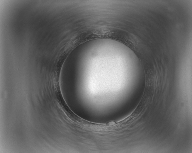 X0000057060040200509120859