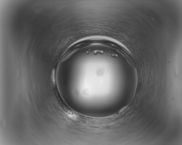 X0000057060041200509120859