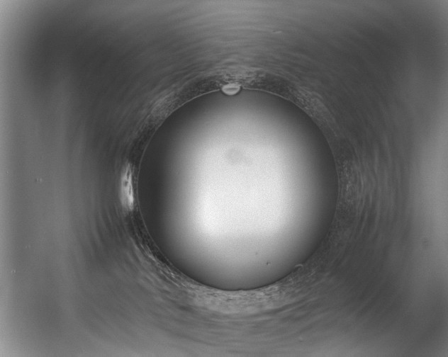 X0000057060042200509120859