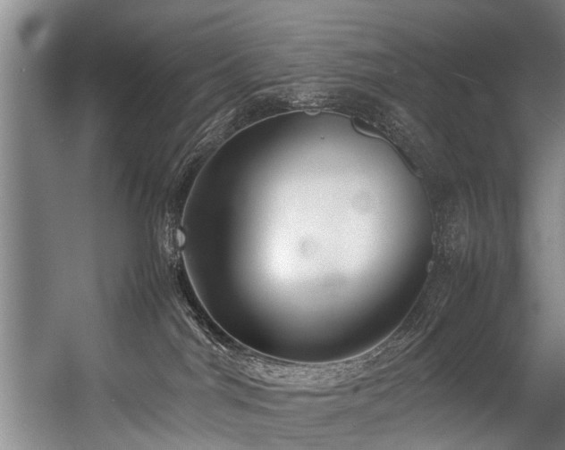 X0000057060044200509120859