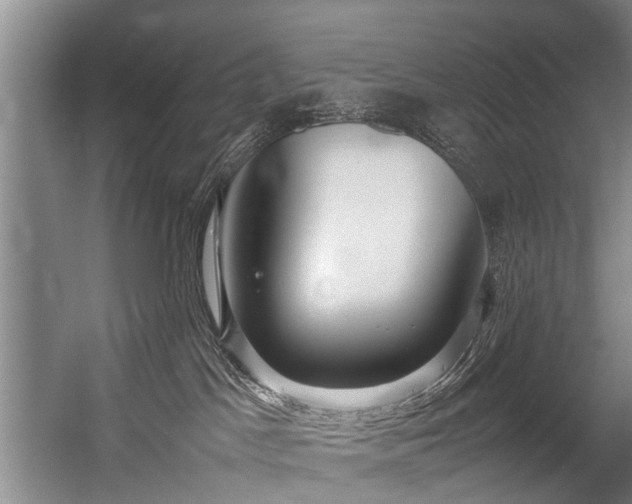 X0000057060045200509120859