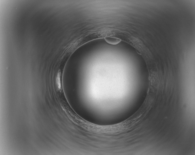 X0000057060046200509120859