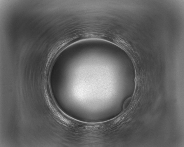 X0000057060049200509120859