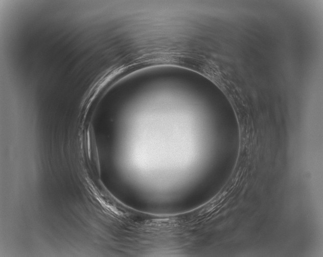 X0000057060050200509120859