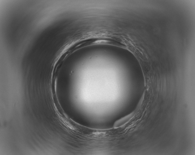 X0000057060052200509120859