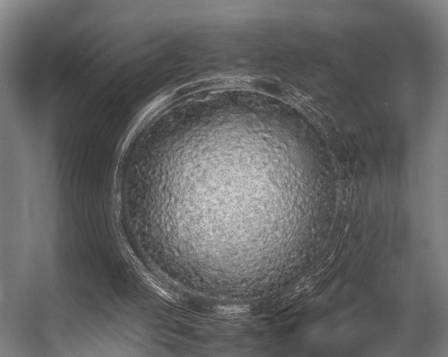 X0000057060053200509120859