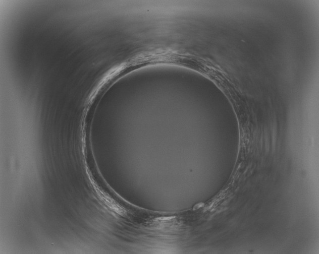 X0000057060054200509120859