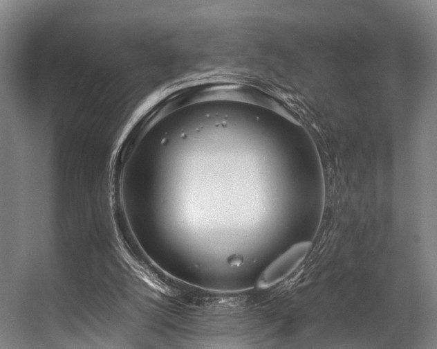 X0000057060056200509120859