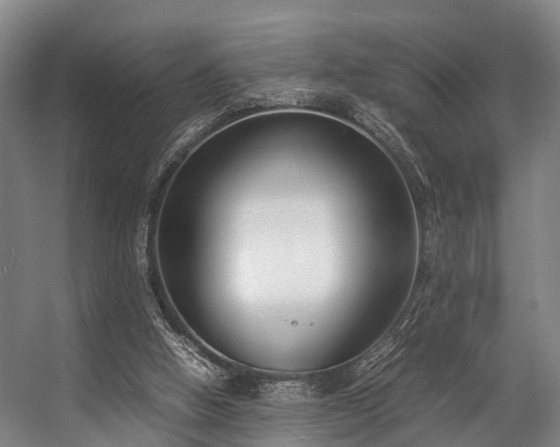 X0000057060058200509120859