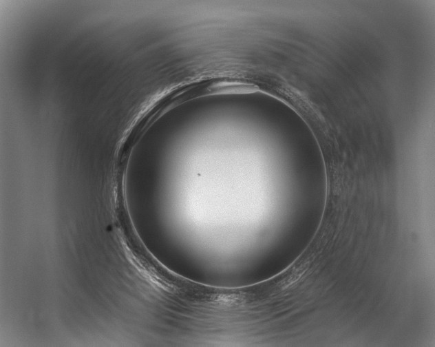 X0000057060060200509120859