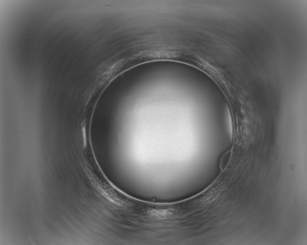 X0000057060061200509120859