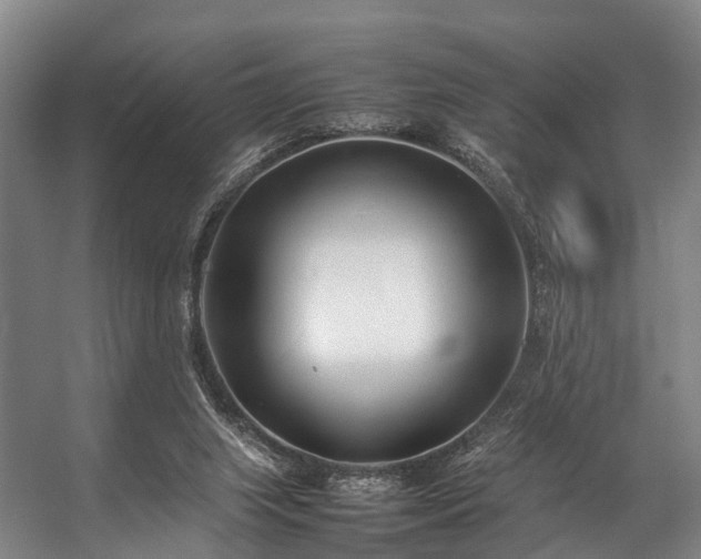 X0000057060063200509120859