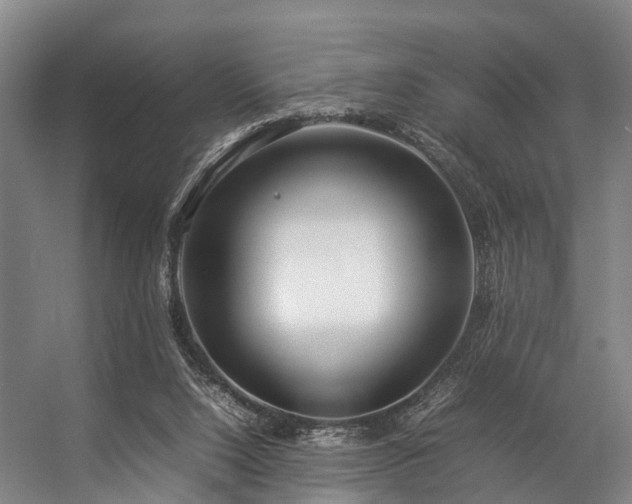 X0000057060064200509120859