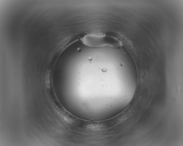 X0000057060065200509120859