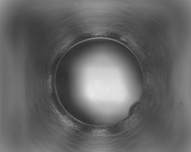 X0000057060066200509120859