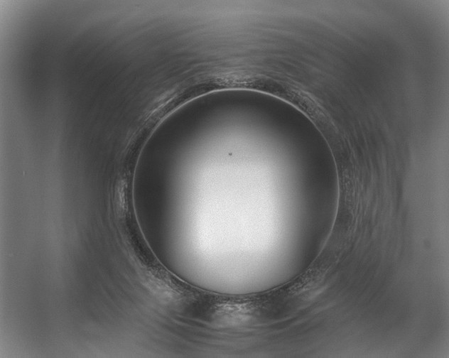 X0000057060071200509120859