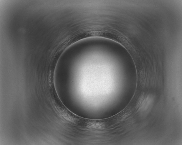 X0000057060073200509120859