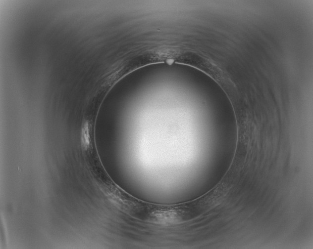 X0000057060075200509120859