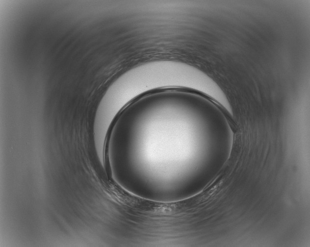 X0000057060080200509120859