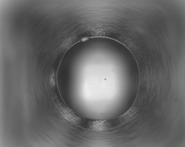 X0000057060090200509120859