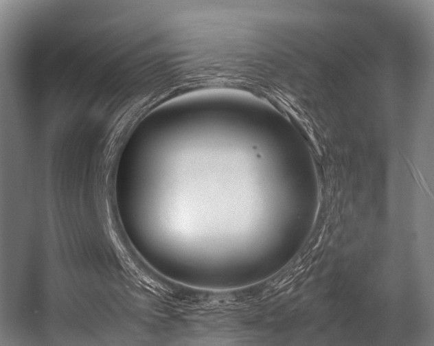 X0000057060097200509120859