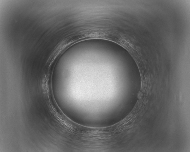 X0000057060098200509120858