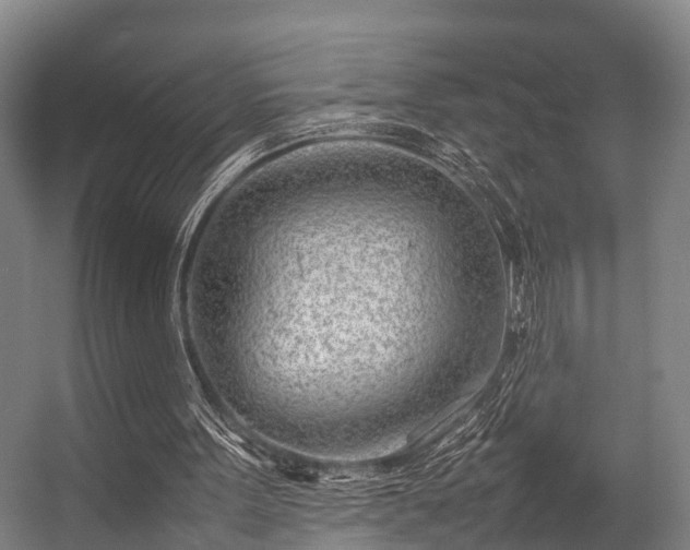 X0000057060099200509120858