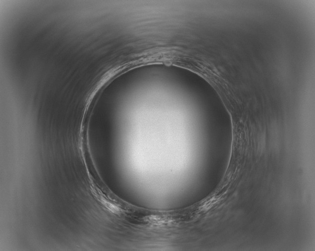 X0000057060100200509120858