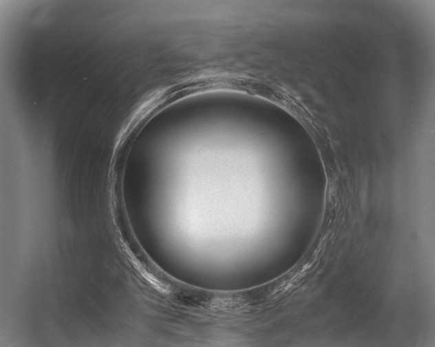 X0000057060101200509120858