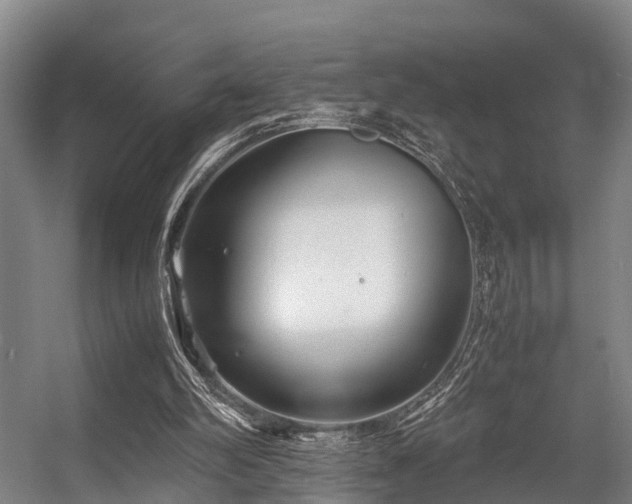 X0000057060102200509120858